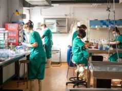 La UCLM lanza 30 contratos posdoctorales con una inversión récord de 3,2 millones