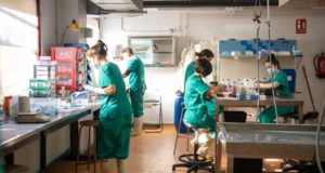 La UCLM lanza 30 contratos posdoctorales con una inversión récord de 3,2 millones