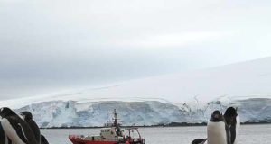Los microorganismos revelan el estado del océano y alertan de cambios en la Antártida
