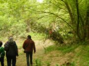 Solo el 10% de los caminos públicos de Andalucía está preparado para el uso ciudadano
