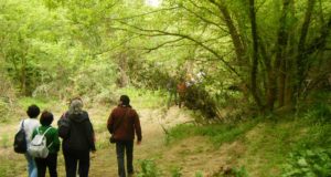 Solo el 10% de los caminos públicos de Andalucía está preparado para el uso ciudadano
