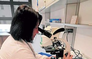 Una solución para acabar con las transfusiones de por vida de los pacientes con anemia congénita