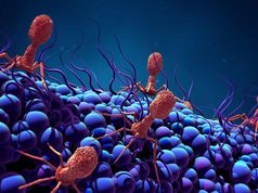 Evitan una amputación de un miembro infectado con un virus que se come las bacterias