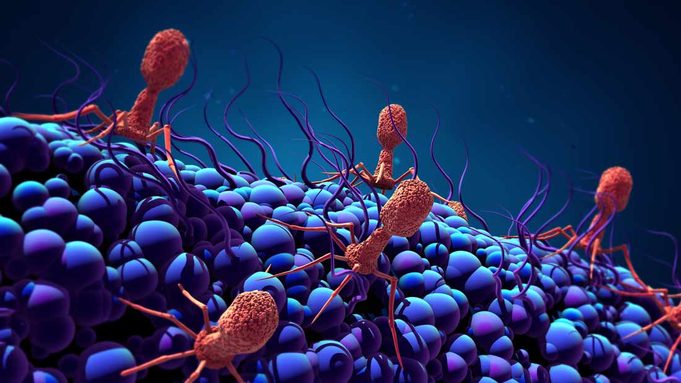 Evitan una amputación de un miembro infectado con un virus que se come las bacterias