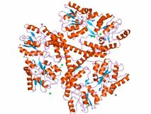 La sangre podría ofrecer una nueva pista para seguir la evolución de la enfermedad de Huntington