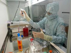 Una infusión de células madre con ‘GPS’ reduce un 94% las fracturas por osteoporosis