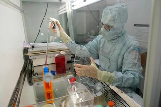 Una infusión de células madre con ‘GPS’ reduce un 94% las fracturas por osteoporosis