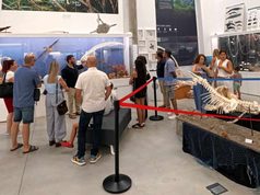 La biodiversidad marina del Mar de Alborán llega al Pabellón de Historia Natural de la UAL