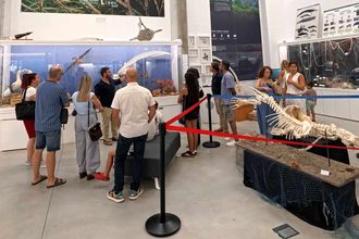 La biodiversidad marina del Mar de Alborán llega al Pabellón de Historia Natural de la UAL