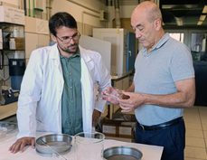 Cápsulas de arcilla con aceites esenciales para combatir el fuego bacteriano de frutales