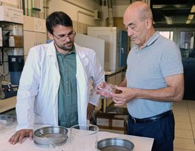 Cápsulas de arcilla con aceites esenciales para combatir el fuego bacteriano de frutales