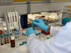La Universidad de Jaén incorporará 15 investigadores para reforzar su capacidad científica