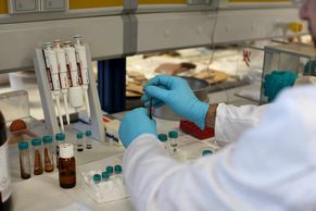 La Universidad de Jaén incorporará 15 investigadores para reforzar su capacidad científica