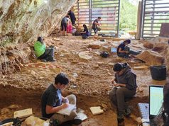 La cueva de Prado Vargas, en Burgos, revela cómo vivían los neandertales hace 46.000 años