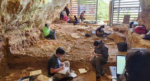 La cueva de Prado Vargas, en Burgos, revela cómo vivían los neandertales hace 46.000 años