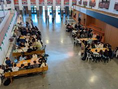 Vuelve la Semana de la Ciencia de la UMA con talleres, rutas y actividades divulgativas