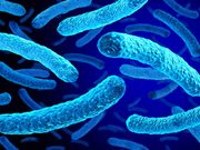 La red de agua favorece la aparición de una variante más infecciosa de la Legionella