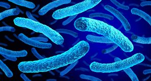 La red de agua favorece la aparición de una variante más infecciosa de la Legionella