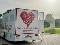 Maratón de donación de sangre y médula en la Universidad de Alicante