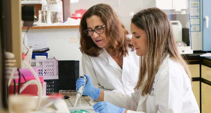 Un golpe en la cabeza puede cambiar cómo responde el cerebro al estrés años después