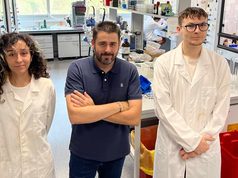 Una reacción química nueva con hierro y luz facilita crear nuevos medicamentos