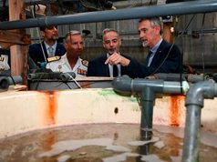 La UMU investiga cómo mejorar el bienestar de doradas y lubinas en un laboratorio de referencia