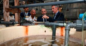 La UMU investiga cómo mejorar el bienestar de doradas y lubinas en un laboratorio de referencia