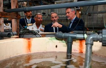 La UMU investiga cómo mejorar el bienestar de doradas y lubinas en un laboratorio de referencia