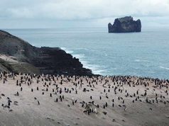 Los pingüinos de la Antártida esconden una inesperada fuente de metano