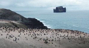 Los pingüinos de la Antártida esconden una inesperada fuente de metano