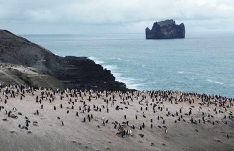 Los pingüinos de la Antártida esconden una inesperada fuente de metano