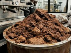 Los posos de café pueden ser materia prima de biodiésel, prebióticos y productos agrícolas