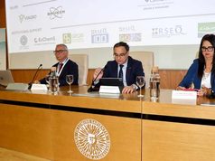 La UAL reúne a especialistas internacionales en química para analizar el desarrollo de fármacos y los nuevos materiales