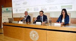 La UAL reúne a especialistas internacionales en química para analizar el desarrollo de fármacos y los nuevos materiales