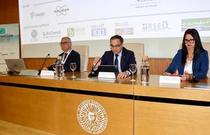 La UAL reúne a especialistas internacionales en química para analizar el desarrollo de fármacos y los nuevos materiales