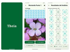 La inteligencia artificial convierte un móvil en una herramienta para medir la biodiversidad sin Internet