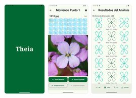 La inteligencia artificial convierte un móvil en una herramienta para medir la biodiversidad sin Internet