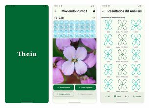 La inteligencia artificial convierte un móvil en una herramienta para medir la biodiversidad sin Internet