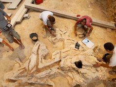 Los neandertales también eran carpinteros: encuentran herramientas hechas en madera