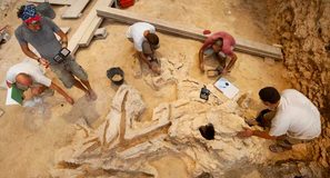Los neandertales también eran carpinteros: encuentran herramientas hechas en madera