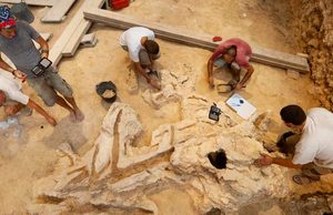 Los neandertales también eran carpinteros: encuentran herramientas hechas en madera