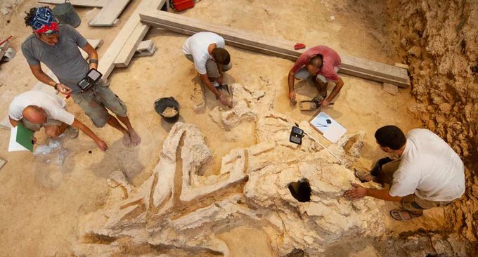 Los neandertales también eran carpinteros: encuentran herramientas hechas en madera