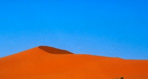 La riqueza natural, protagonista del próximo curso de fotografía del CAF