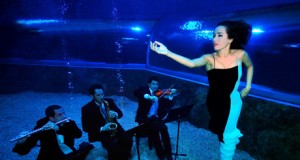 Anabel Veloso, de la poesía a la danza en el Audtitorio de Roquetas
