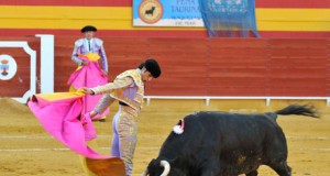 Los toros, según Baltasar Gálvez