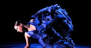 Diputación y Cajasol se unen para ‘Conocer el Flamenco’ en Gádor, Pechina y Almería