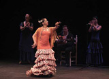 El espectáculo flamenco ‘La voz de su amo’ abre el otoño cultural de Níjar