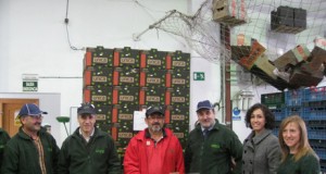 Cabasc mejora el rendimiento en el manipulado de hortalizas