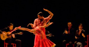 Flamenco del bueno con la compañía Rojas y Rodríguez en el Maestro Padilla