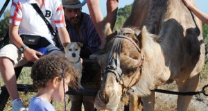 Como Lawrence de Arabia por el Bajo Andarax